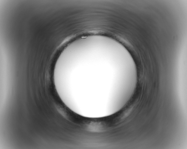 X0000085780256200704091417