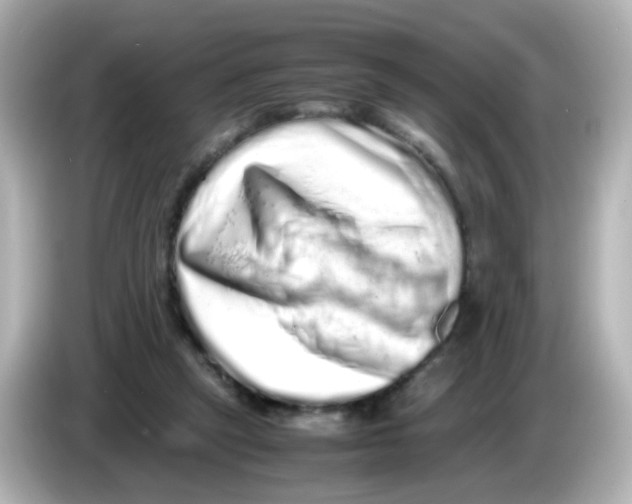 X0000085780257200704091417