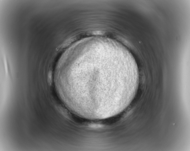 X0000085780262200704091417