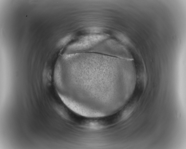 X0000085780264200704091417