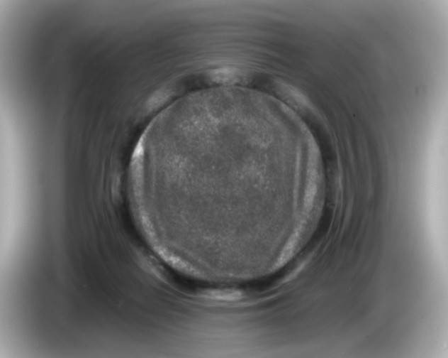 X0000085780266200704091417