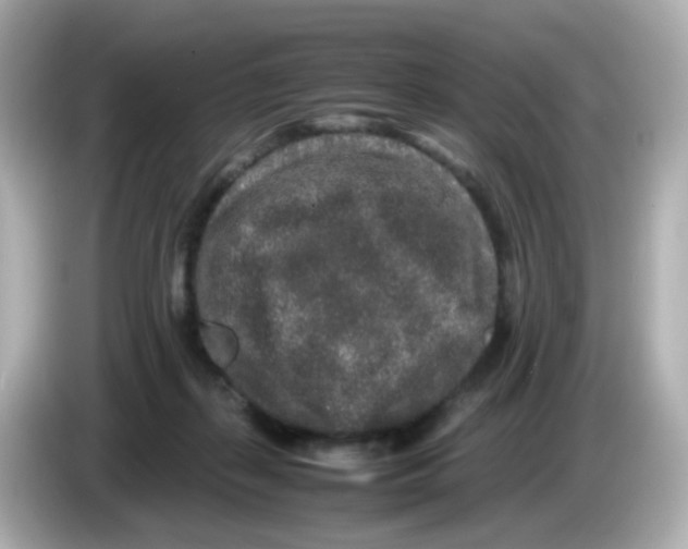 X0000085780267200704091417