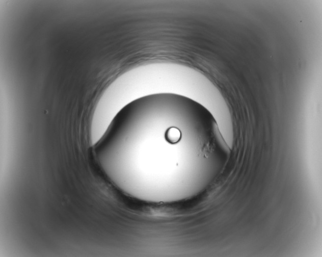 X0000085780268200704091417