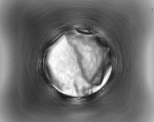 X0000085780269200704091417