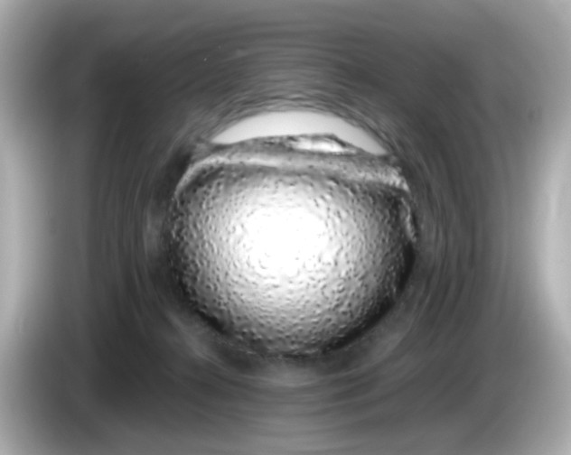 X0000085780272200704091417