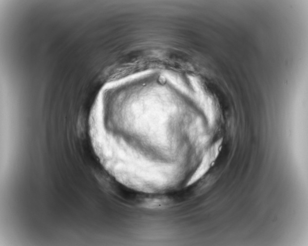 X0000085780274200704091417