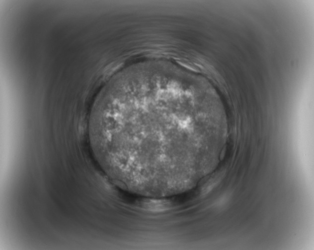 X0000085780277200704091417