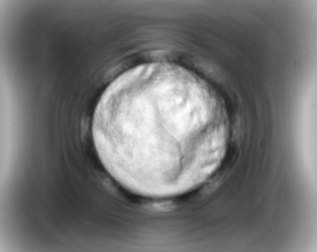 X0000085780278200704091417