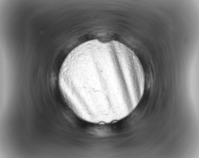 X0000085780279200704091417