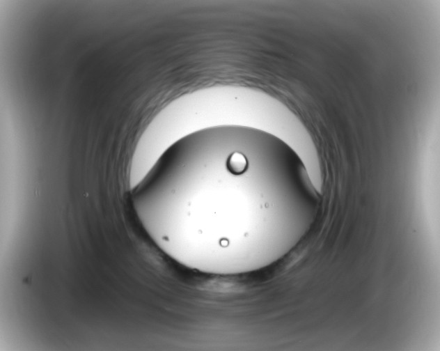 X0000085780280200704091417