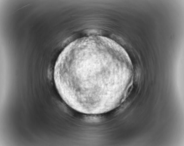 X0000085780282200704091417