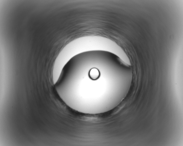 X0000085780284200704091417