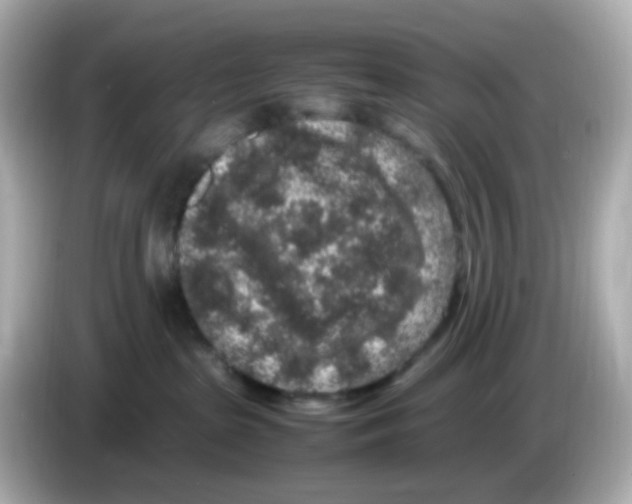 X0000085780285200704091417