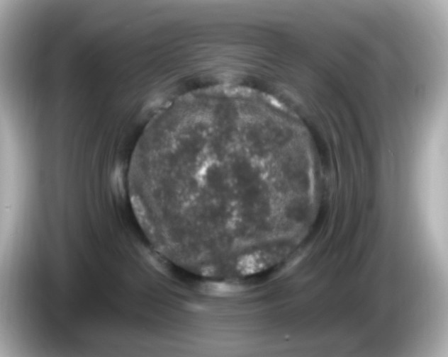 X0000085780286200704091417