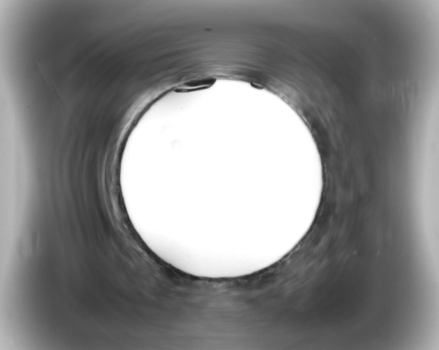 X0000085780289200704091417