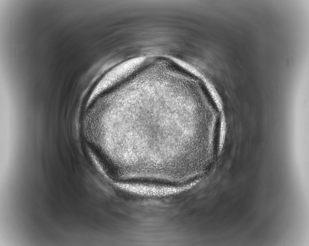 X0000085780290200704091417