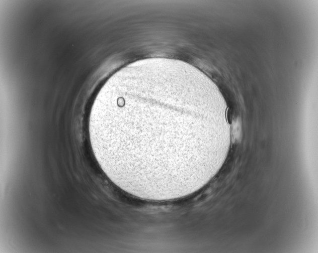 X0000085780291200704091417