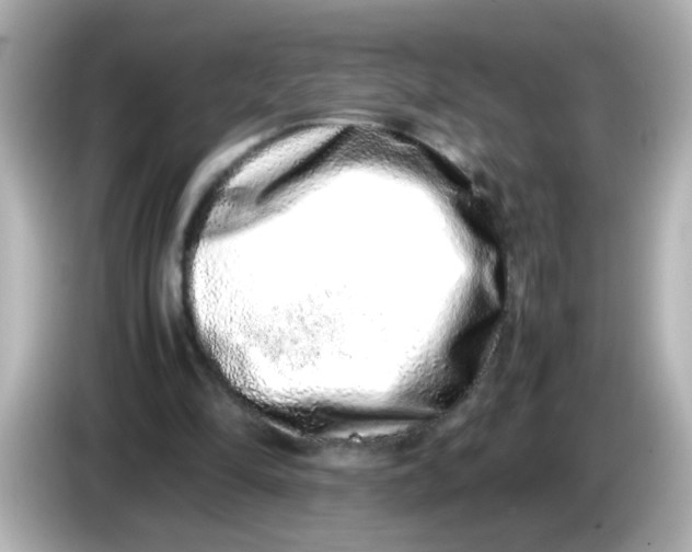 X0000085780294200704091417