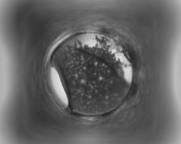 X0000085780295200704091417