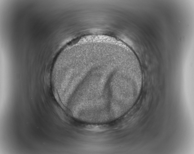 X0000085780297200704091417