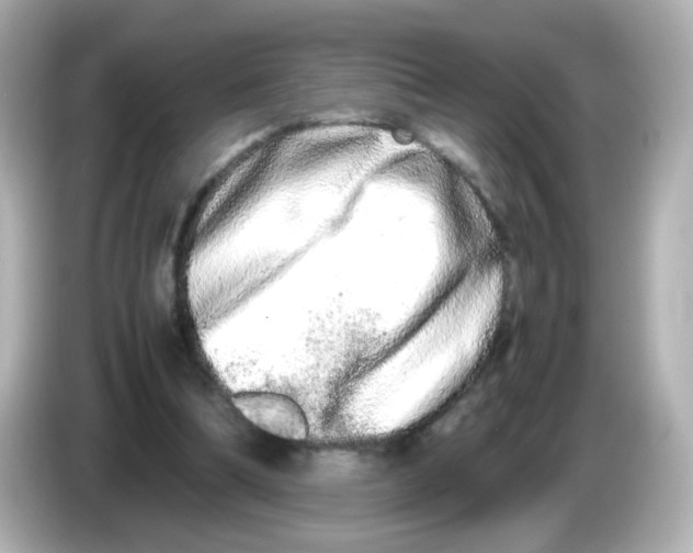 X0000085780298200704091417