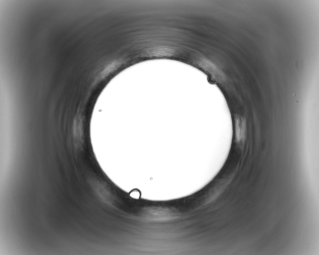 X0000085780300200704091417