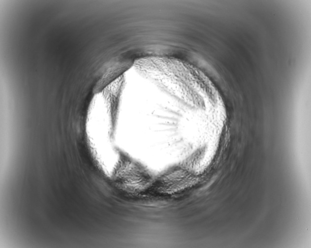 X0000085780305200704091417