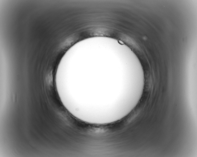 X0000085780310200704091416