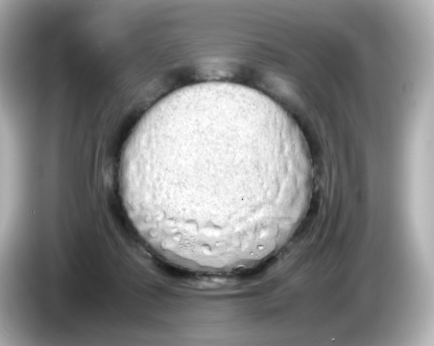 X0000085780315200704091416