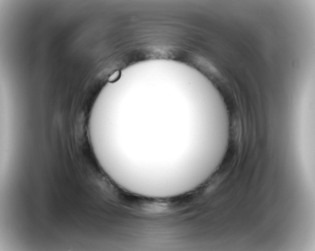 X0000085780318200704091416