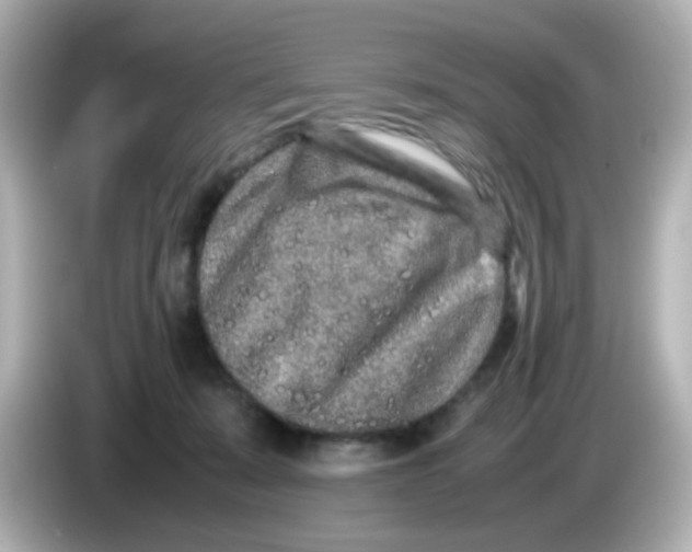 X0000085780319200704091416