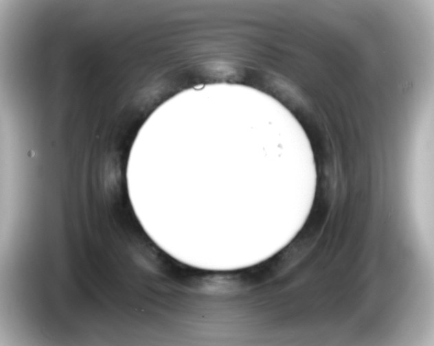 X0000085780320200704091416