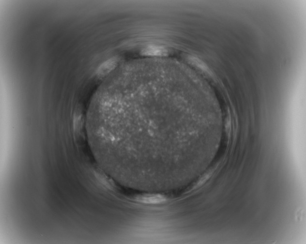 X0000085780322200704091416