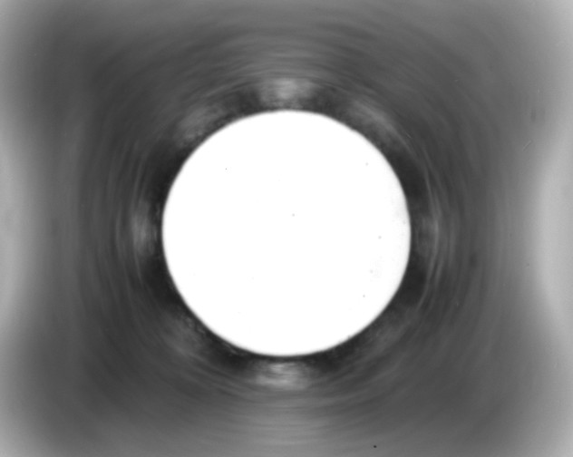 X0000085780324200704091416