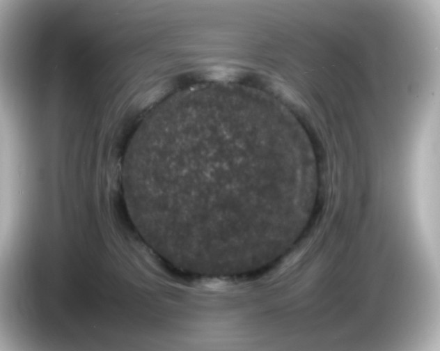 X0000085780325200704091416