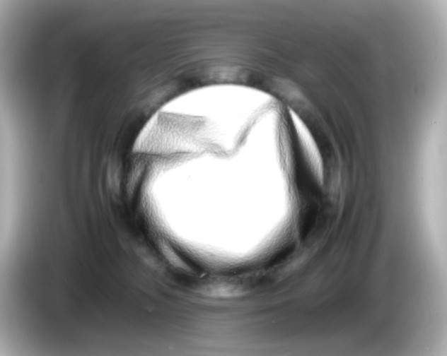 X0000085780326200704091416