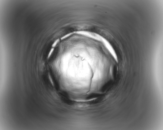 X0000085780327200704091416