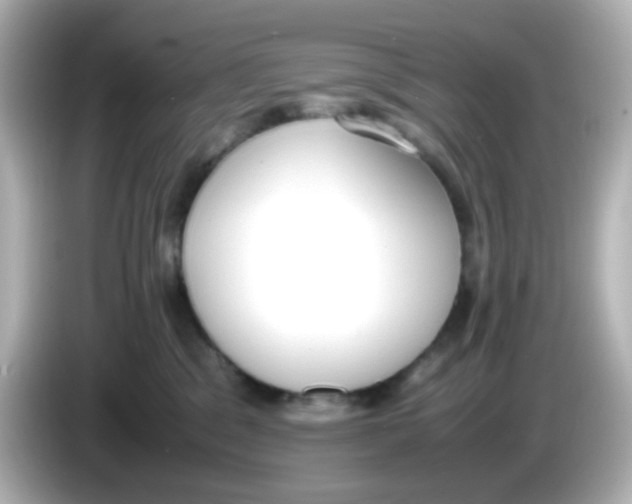 X0000085780329200704091416