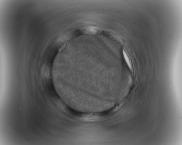 X0000085780331200704091416