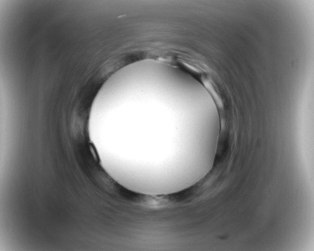 X0000085780333200704091416