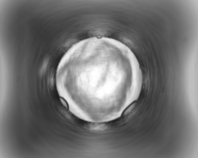 X0000085780334200704091416