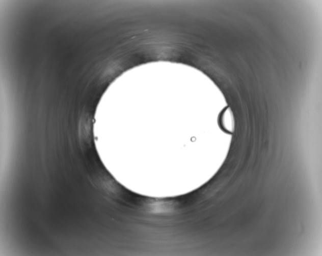 X0000085780336200704091416