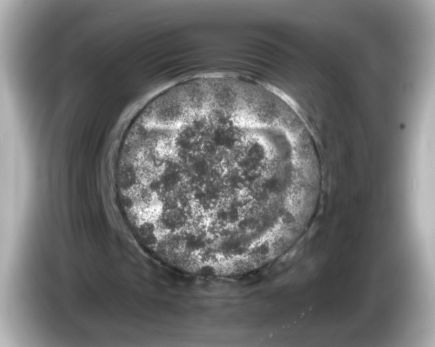 X0000085780337200704091416