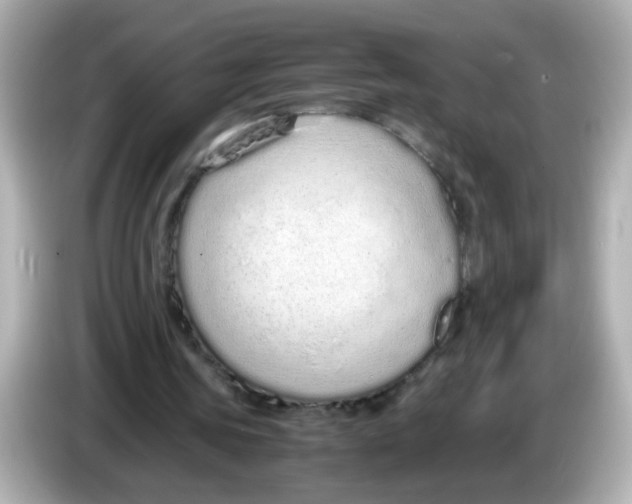 X0000085780339200704091416