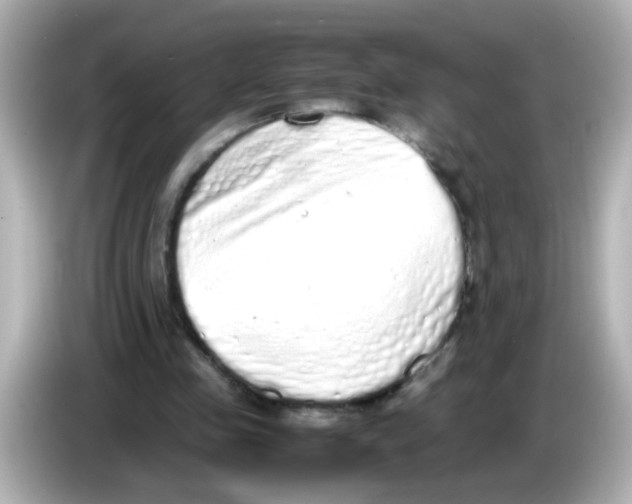 X0000085780341200704091416