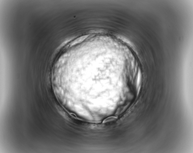 X0000085780345200704091416