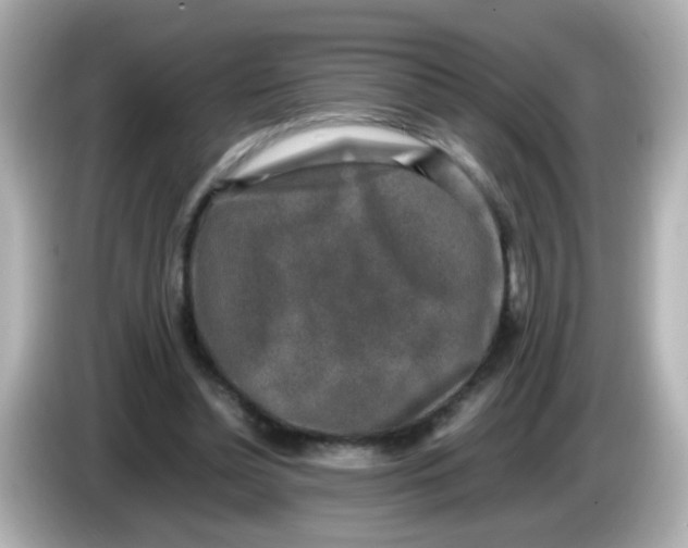 X0000085780348200704091416