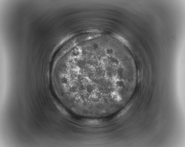 X0000085780349200704091416