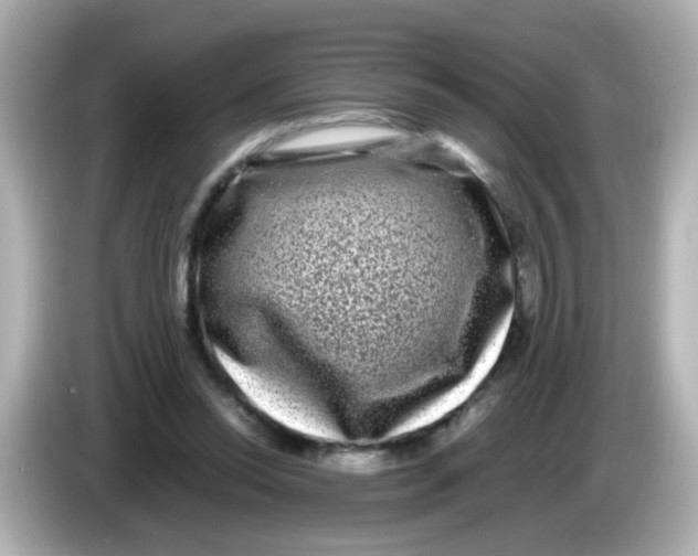 X0000085780350200704091416