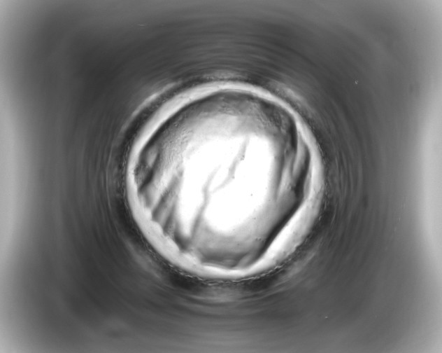 X0000085780351200704091416